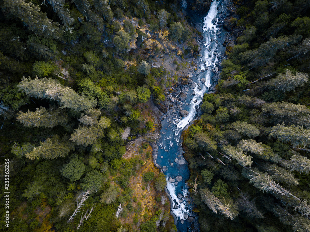 Arial view of a forest with a river running through it